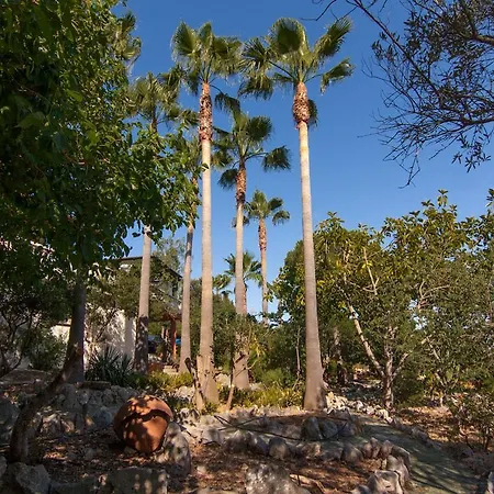Can Marti Alcudia  Exterior photo